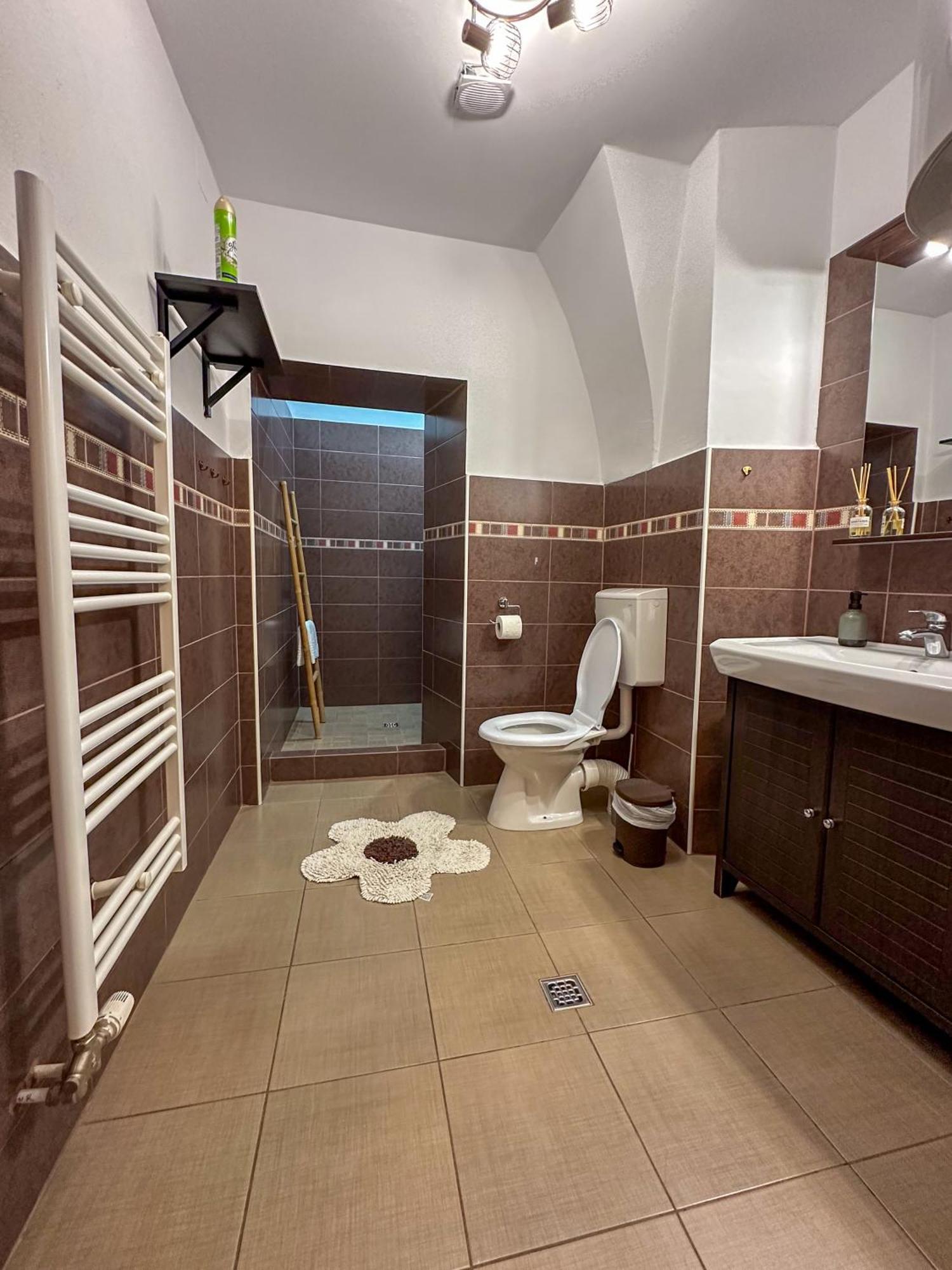 Serenity House Apartments シビウ 部屋 写真